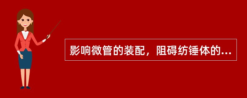 影响微管的装配，阻碍纺锤体的形成 A．长春碱 B．紫杉醇 C．羟基喜树碱 D．他