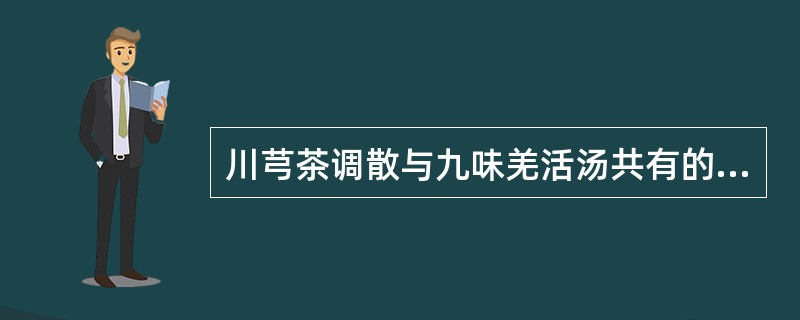 川芎茶调散与九味羌活汤共有的药物不包括( )。