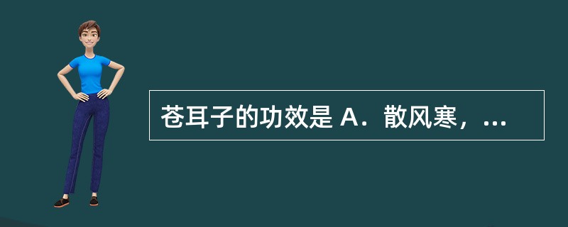 苍耳子的功效是 A．散风寒，通鼻窍，除湿止痛，止痒 B．发表透疹，祛风除湿 C．