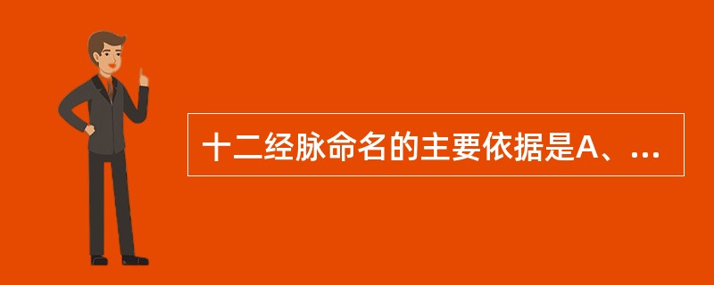 十二经脉命名的主要依据是A、手足、五行、脏腑B、内外、脏腑、五行C、手足、五行、