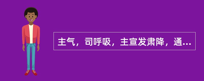 主气，司呼吸，主宣发肃降，通调水道的是 A．肝 B．心 C．脾 D．肺 E．肾