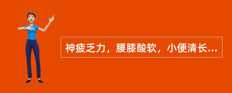 神疲乏力，腰膝酸软，小便清长，舌淡苔薄，脉弱，属于虚劳之何证A、脾气虚B、肺气虚