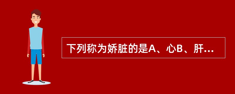 下列称为娇脏的是A、心B、肝C、脾D、肺E、肾