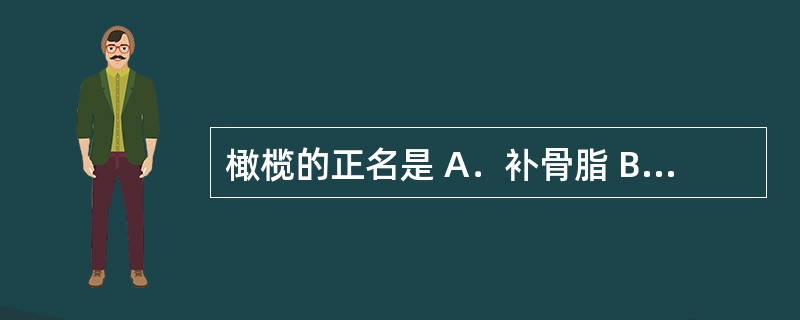 橄榄的正名是 A．补骨脂 B．青果 C．郁金 D．细辛 E．濂珠