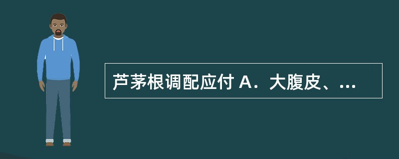 芦茅根调配应付 A．大腹皮、生槟榔 B．芦根、茅根 C．猪苓、茯苓 D．荷叶、荷