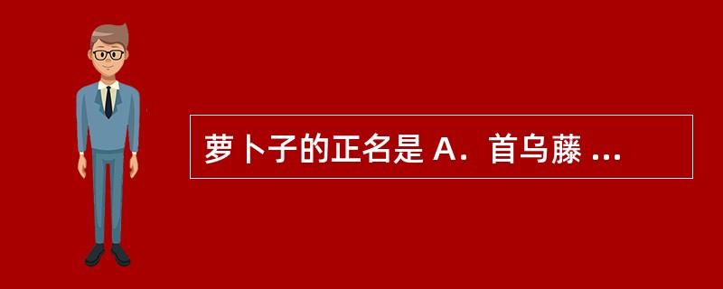 萝卜子的正名是 A．首乌藤 B．秦艽 C．莱菔子 D．拳参 E．白芷