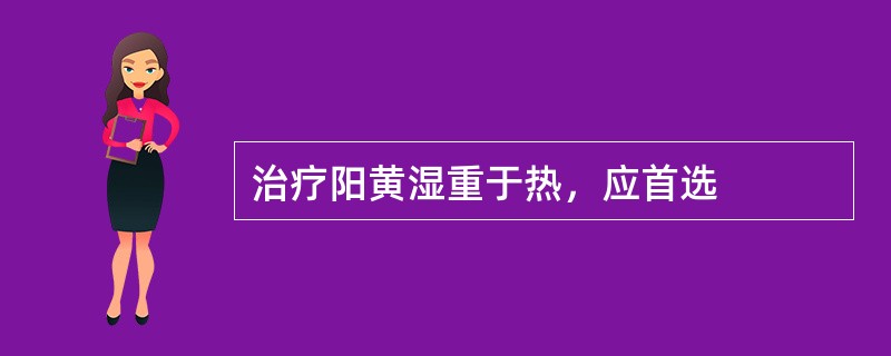 治疗阳黄湿重于热，应首选