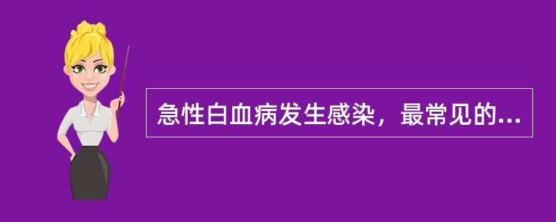 急性白血病发生感染，最常见的是( )A、皮肤感染B、肺部感染C、肛周炎D、咽峡炎