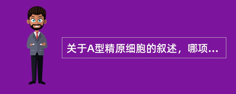 关于A型精原细胞的叙述，哪项错误？( )A、是生精细胞中的干细胞B、染色体组型为