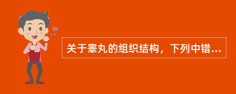 关于睾丸的组织结构，下列中错误的描述是( )。A、表面覆盖一层浆膜为鞘膜脏层B、