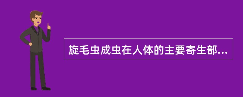 旋毛虫成虫在人体的主要寄生部位为( )A、小肠B、肠壁组织C、肌肉D、血液E、肝