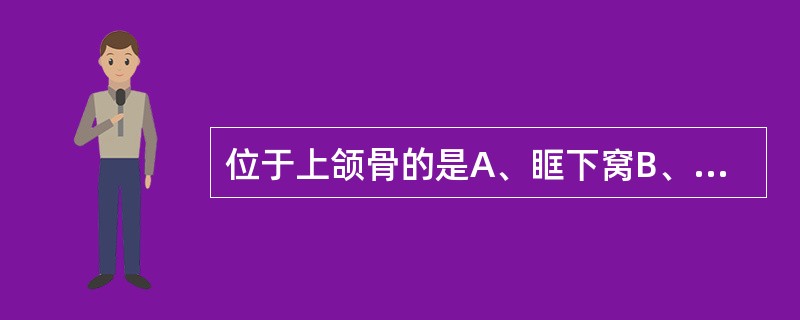 位于上颌骨的是A、眶下窝B、关节窝C、翼腭窝D、尖牙窝E、翼肌窝