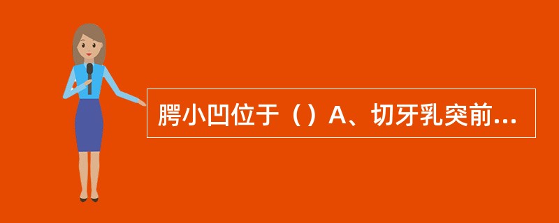 腭小凹位于（）A、切牙乳突前方B、腭皱与切牙乳突之间C、腭皱后方D、上颌牙槽嵴