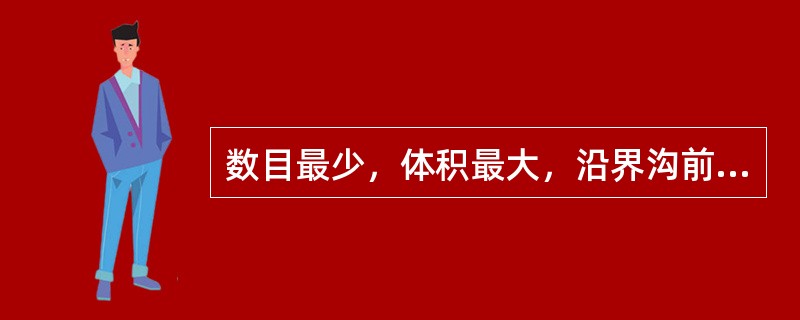 数目最少，体积最大，沿界沟前方排列的是