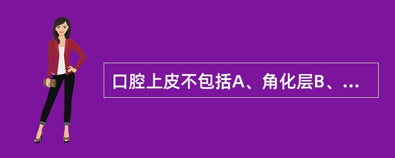 口腔上皮不包括A、角化层B、粒层C、棘细胞层D、颗粒层E、基底层