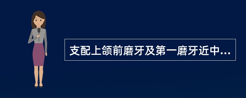 支配上颌前磨牙及第一磨牙近中的牙髓及其颊侧黏膜的为A、上牙槽后神经B、上牙槽中神