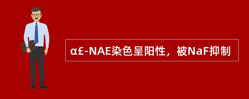 α£­NAE染色呈阳性，被NaF抑制