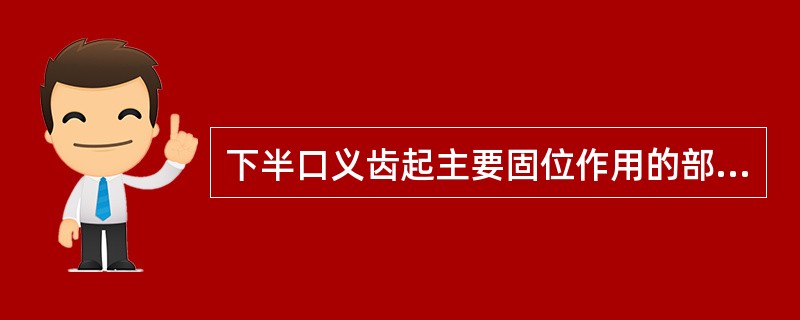 下半口义齿起主要固位作用的部位是A、舌下腺区B、舌系带C、舌侧翼缘区后部D、下颌