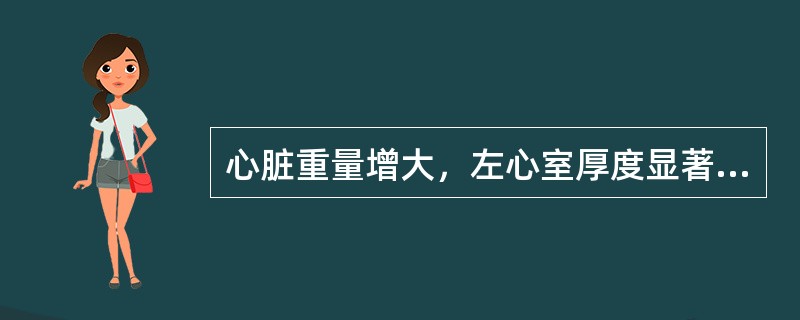 心脏重量增大，左心室厚度显著增厚，左心室流出道主动脉瓣下方间隔球形隆起致流出道受