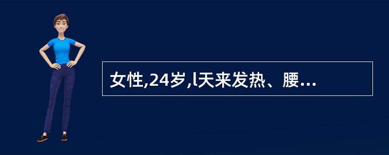 女性,24岁,l天来发热、腰痛、尿急、尿频来院。以往无类似发作史。查肾区有叩击痛