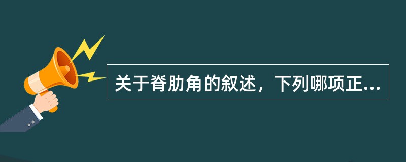 关于脊肋角的叙述，下列哪项正确A、为竖脊肌的外侧缘与第12肋的交角B、为竖脊肌的