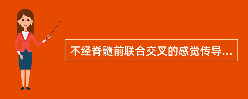 不经脊髓前联合交叉的感觉传导是A、浅感觉B、痛觉C、温度觉D、轻触觉E、传导识别