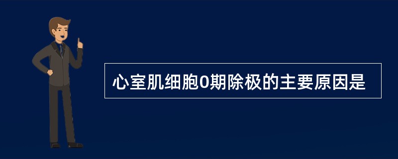 心室肌细胞0期除极的主要原因是