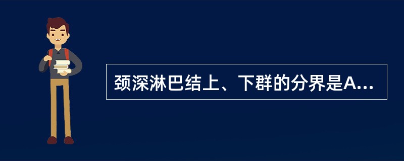 颈深淋巴结上、下群的分界是A、舌骨水平B、颈动脉分叉处C、二腹肌中间腱D、肩胛舌