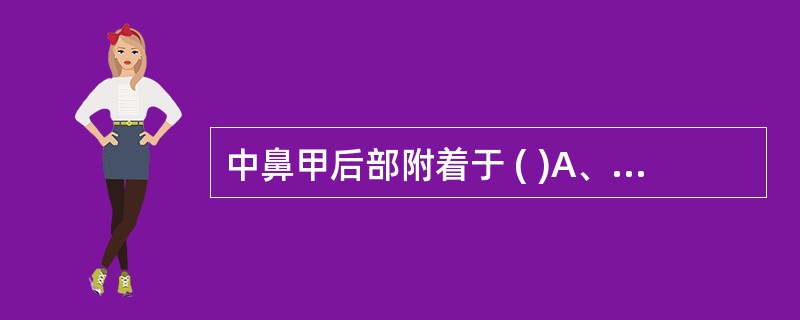 中鼻甲后部附着于 ( )A、筛窦顶部B、筛骨水平板C、蝶窦前壁D、鼻腔外侧壁的后