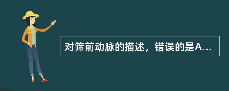 对筛前动脉的描述，错误的是A、筛前动脉穿过筛前孔后一直在鼻腔及鼻旁窦内走行B、筛