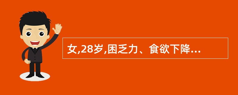 女,28岁,困乏力、食欲下降、厌油、恶心5天,尿黄3天就诊。查体:血压l00£¯