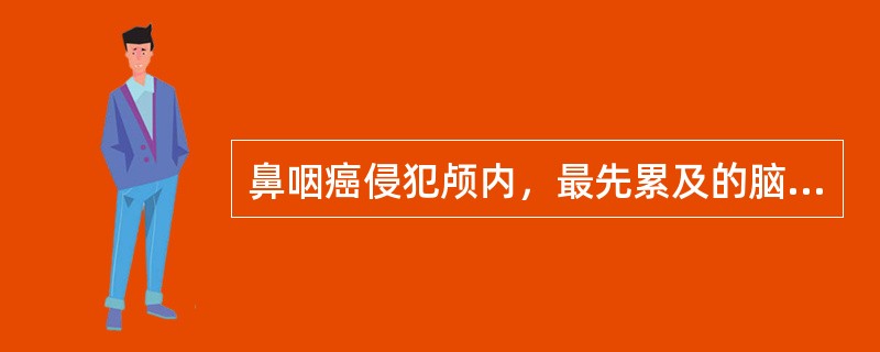 鼻咽癌侵犯颅内，最先累及的脑神经是A、动眼神经及滑车神经B、滑车神经及三叉神经C