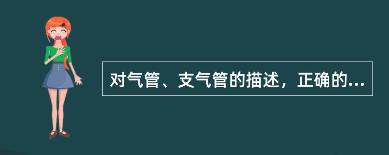 对气管、支气管的描述，正确的是A、左支气管与气管延长线形成的角度比右主支气管的小