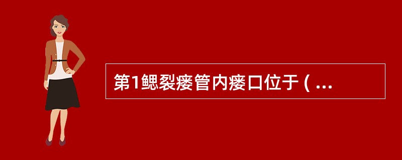 第1鳃裂瘘管内瘘口位于 ( )A、腭扁桃体窝B、舌盲孔C、梨状窝D、外耳道软骨部