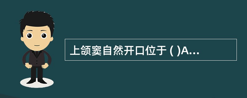 上颌窦自然开口位于 ( )A、上鼻道B、中鼻道C、下鼻道D、蝶筛隐窝E、鼻咽部