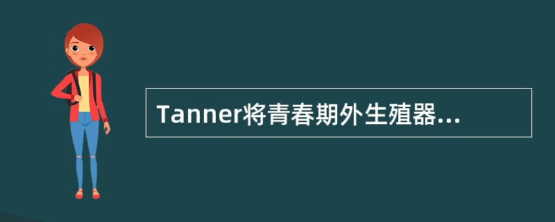 Tanner将青春期外生殖器和性征的发育分成A、5期B、4期C、3期D、2期E、