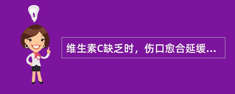 维生素C缺乏时，伤口愈合延缓是主要因为（）