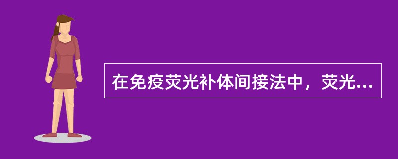 在免疫荧光补体间接法中，荧光素标记在（）