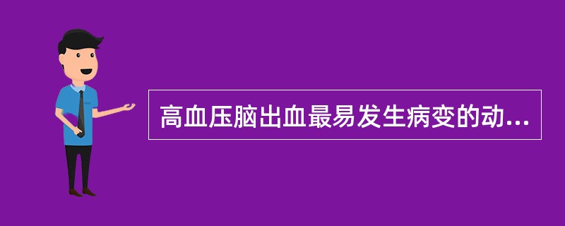 高血压脑出血最易发生病变的动脉是（）