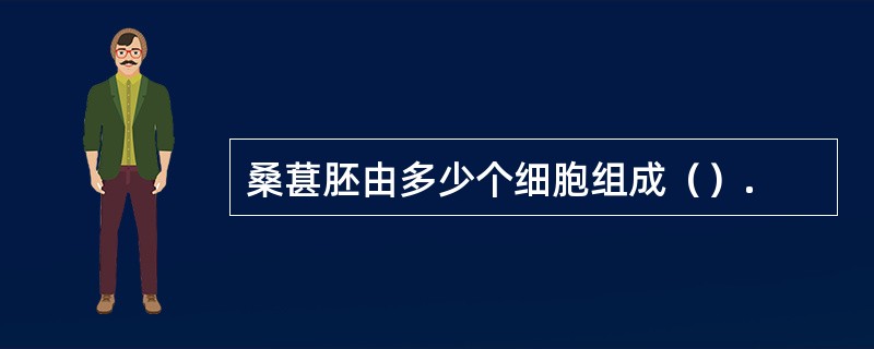 桑葚胚由多少个细胞组成（）.