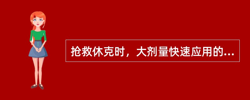 抢救休克时，大剂量快速应用的碱性药（重碳酸钠）（）