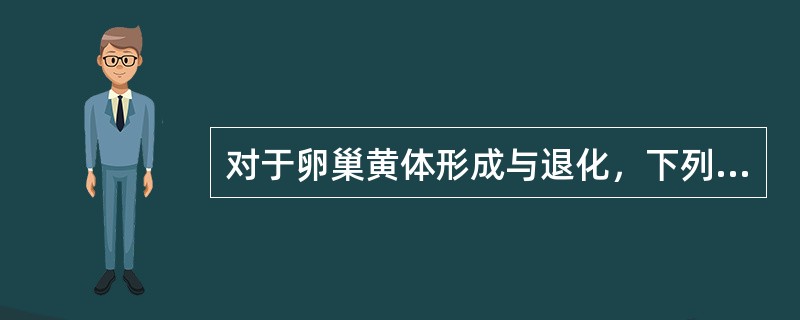 对于卵巢黄体形成与退化，下列哪项叙述不恰当？（）