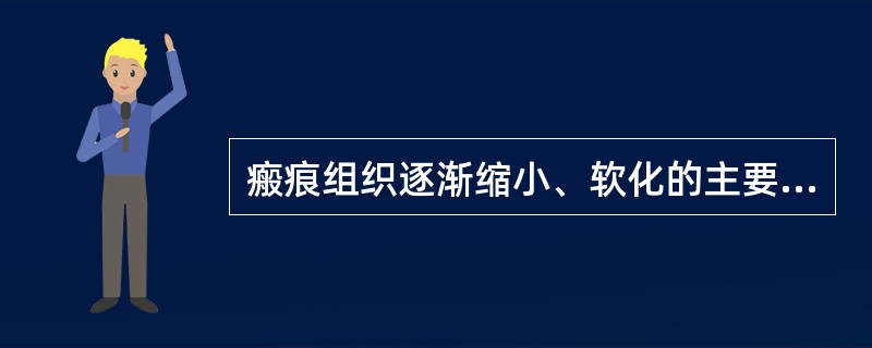 瘢痕组织逐渐缩小、软化的主要原因是（）