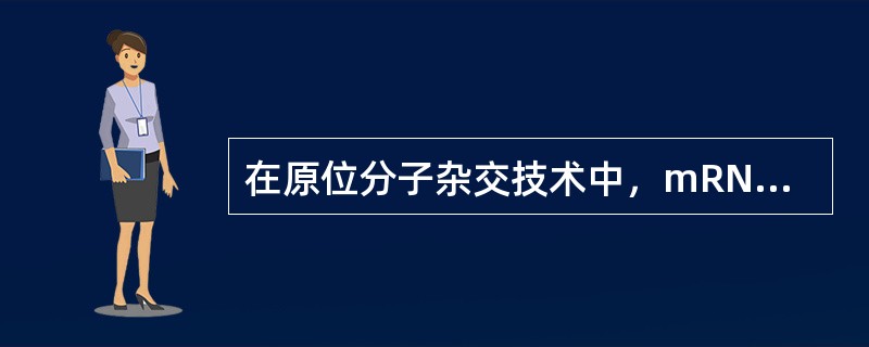 在原位分子杂交技术中，mRNA的定位时选用的固定剂是（）