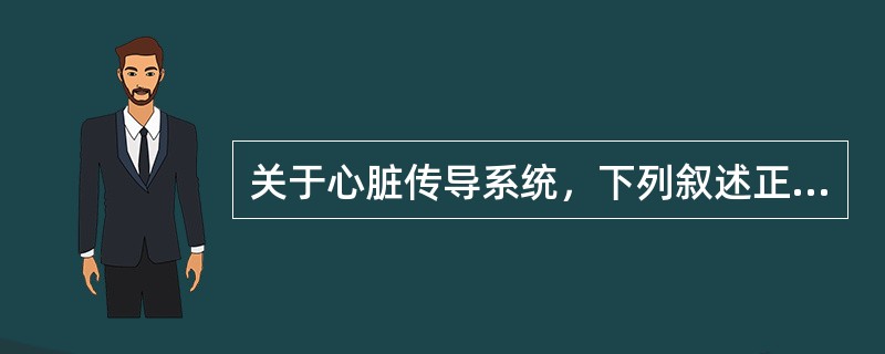 关于心脏传导系统，下列叙述正确的是（）