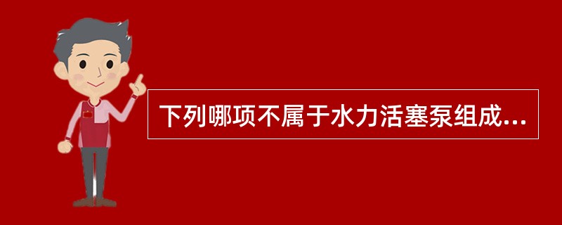 下列哪项不属于水力活塞泵组成（）。