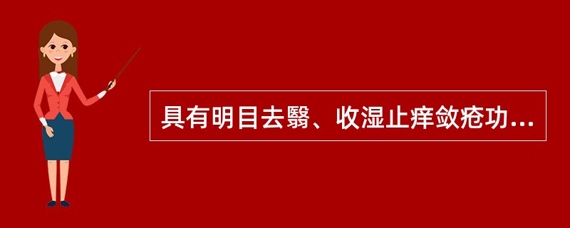 具有明目去翳、收湿止痒敛疮功效的药物是（）。