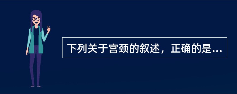 下列关于宫颈的叙述，正确的是（）。