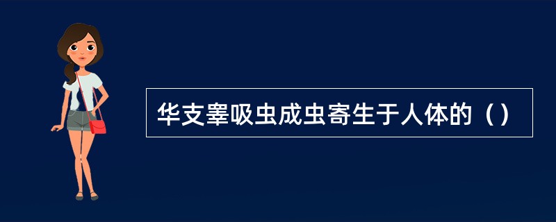 华支睾吸虫成虫寄生于人体的（）