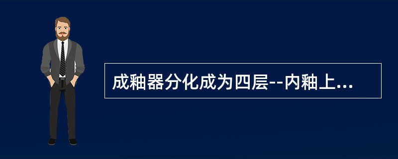 成釉器分化成为四层--内釉上皮、外釉上皮、星网状层、中间层，应为（）。